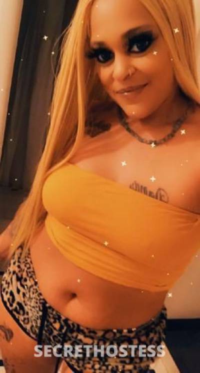 KattRedd 33Yrs Old Escort Denver CO Image - 4