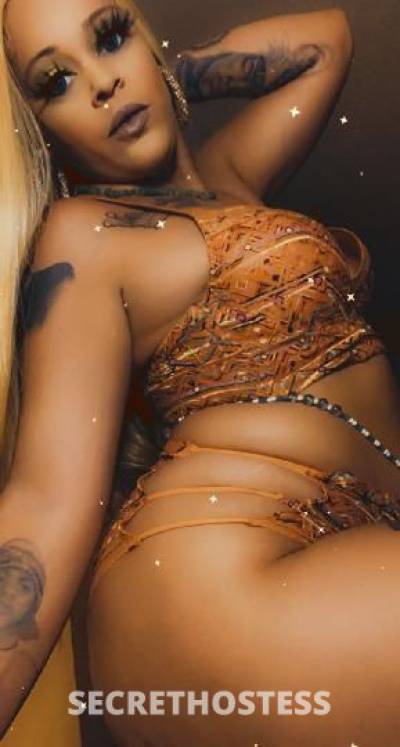 KattRedd 33Yrs Old Escort Denver CO Image - 11