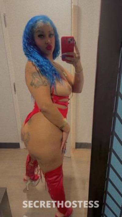 Selena 33Yrs Old Escort Fort Myers FL Image - 1