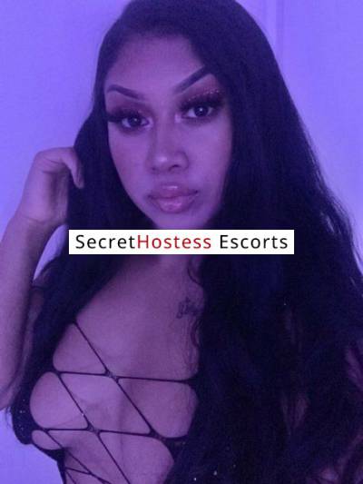 22Yrs Old Escort 58KG 149CM Tall Houston TX Image - 13