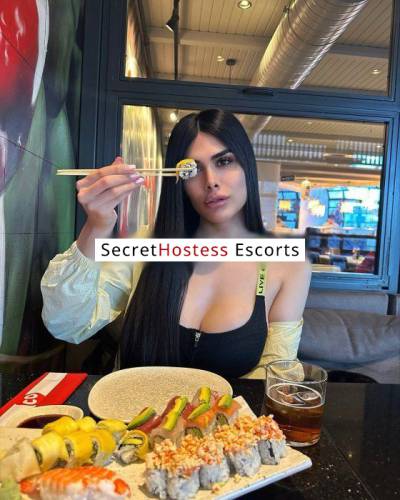 22Yrs Old Escort 69KG 170CM Tall Istanbul Image - 7