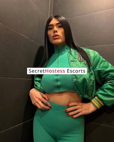 22Yrs Old Escort 69KG 170CM Tall Istanbul Image - 14