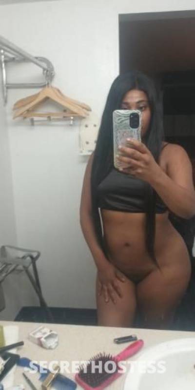 25Yrs Old Escort Dallas TX Image - 0