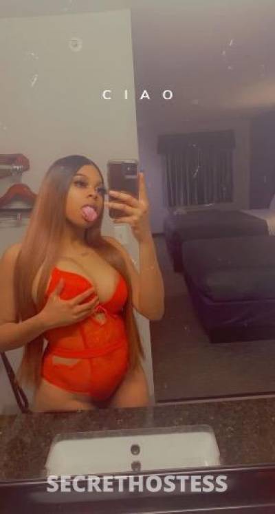 Bambi 23Yrs Old Escort Little Rock AR Image - 0