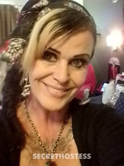 Bunny 41Yrs Old Escort Cincinnati OH Image - 1