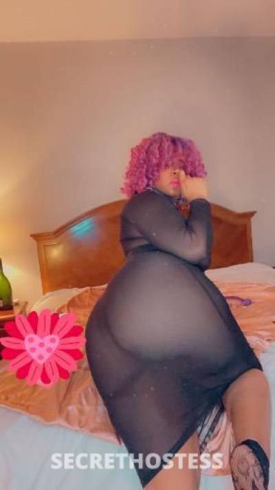 Dolcè 27Yrs Old Escort Jonesboro AR Image - 4