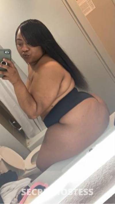 Honey 25Yrs Old Escort Chicago IL Image - 3