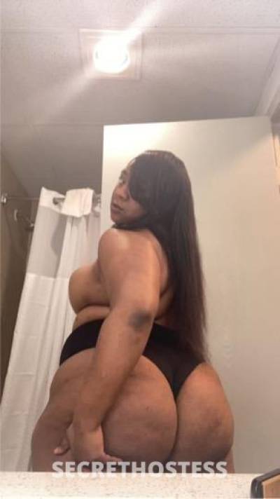 Honey 25Yrs Old Escort Chicago IL Image - 4