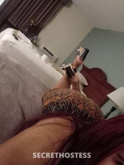 Jesika 25Yrs Old Escort Bradenton FL Image - 1