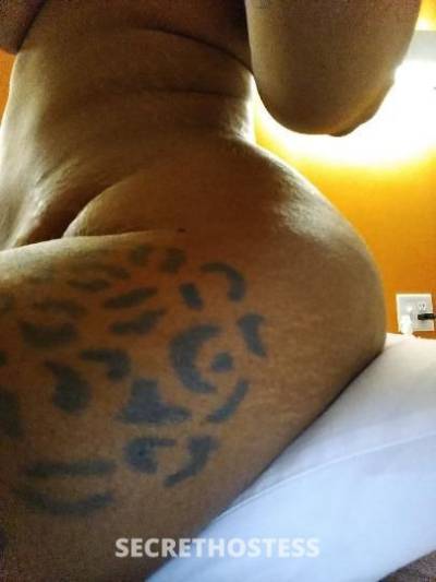 Koala 30Yrs Old Escort Augusta GA Image - 9