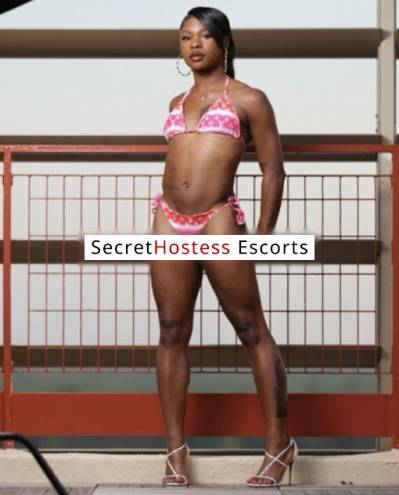 Lucy 24Yrs Old Escort New Orleans LA Image - 4