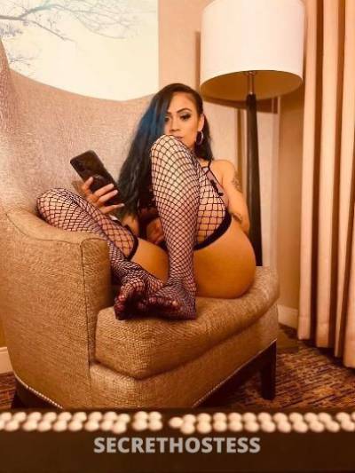 Prettymili 25Yrs Old Escort North Bay CA Image - 4