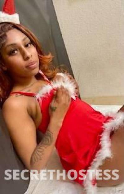 Sugar 22Yrs Old Escort San Francisco CA Image - 2