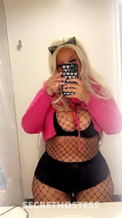 Wynter 25Yrs Old Escort Orange County CA Image - 1