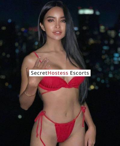 25 Year Old Vietnamese Escort Hong Kong - Image 1