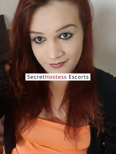 29Yrs Old Escort 95KG 180CM Tall Chemnitz Image - 5