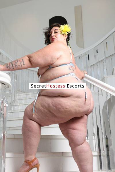 31Yrs Old Escort 157CM Tall Baltimore MD Image - 4