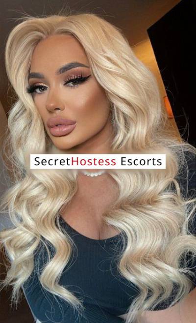 24 Year Old Russian Escort Zürich Blonde - Image 3