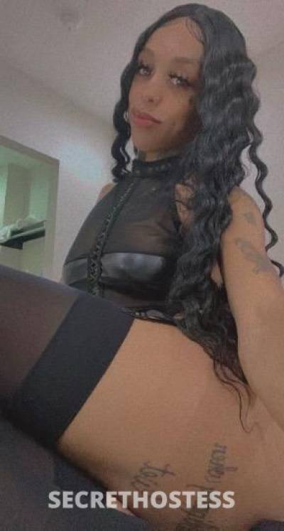 Ariel 25Yrs Old Escort Reno NV Image - 3