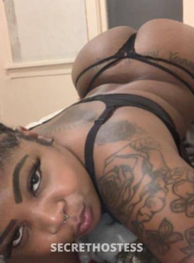 Bunny 27Yrs Old Escort Cleveland OH Image - 2