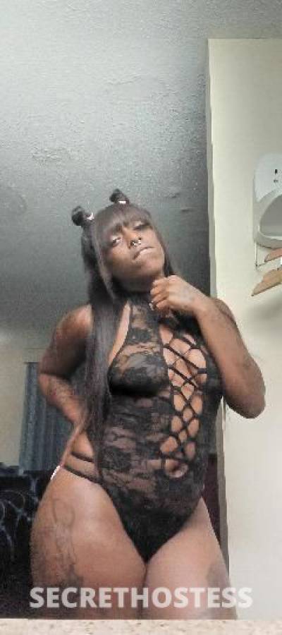 ChocolateDiamond 25Yrs Old Escort Clarksville TN Image - 2