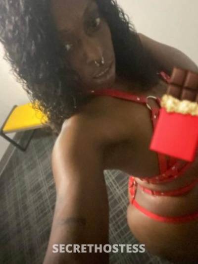 ChocolateKitty 25Yrs Old Escort Clarksville TN Image - 2