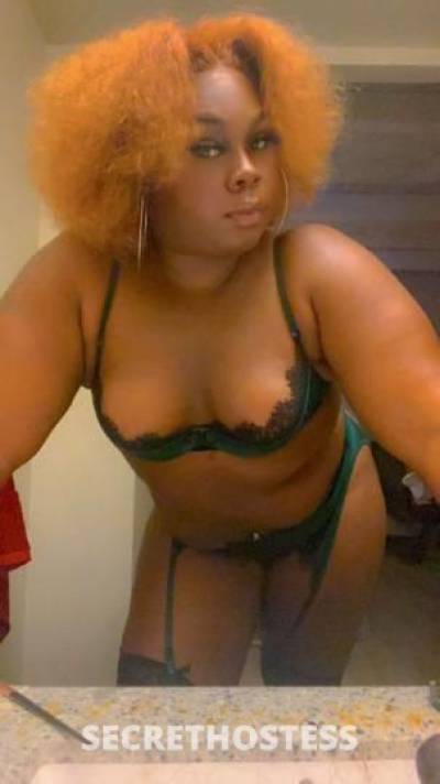 Chocolatebaby 25Yrs Old Escort Saint Louis MO Image - 1