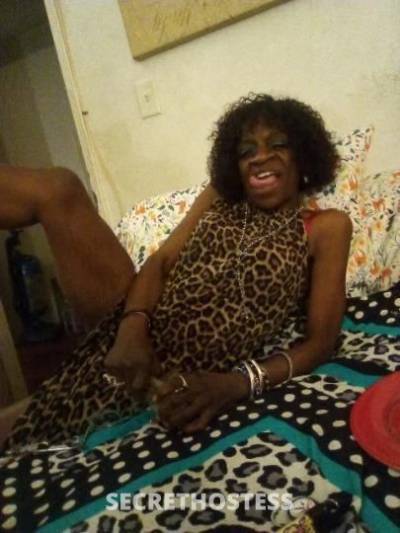 Chocolatedelight 45Yrs Old Escort Long Island NY Image - 0