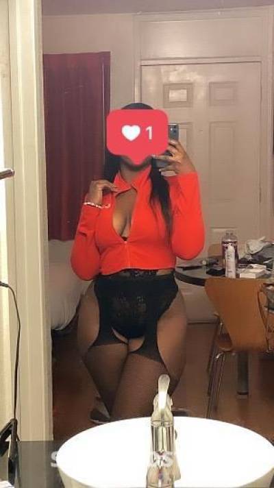 KO 25Yrs Old Escort Oakland CA Image - 3