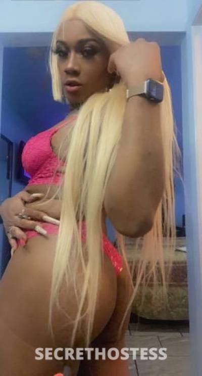 Kash 25Yrs Old Escort Jackson MS Image - 2