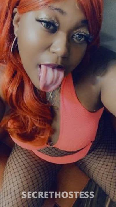 MissDiamondz 28Yrs Old Escort Beaumont TX Image - 3