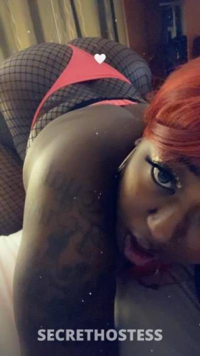 MissDiamondz 28Yrs Old Escort Beaumont TX Image - 5