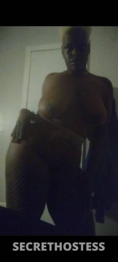 Roxy 30Yrs Old Escort Jacksonville FL Image - 4