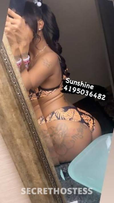 Sunshine 26Yrs Old Escort Toledo OH Image - 2