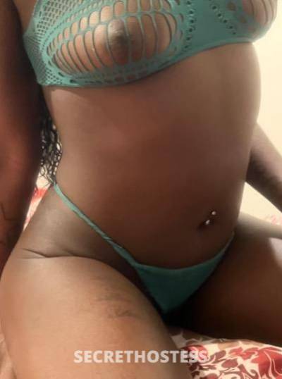 kelli 24Yrs Old Escort Bronx NY Image - 0