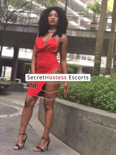 25 Year Old African Escort Manama Black Hair - Image 4