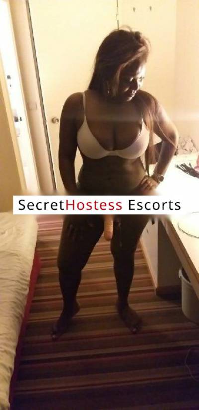 28 Year Old Brazilian Escort Oslo - Image 1