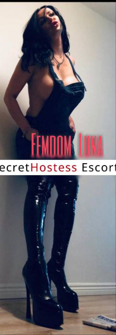 40Yrs Old Escort 66KG 178CM Tall Reykjavik Image - 4