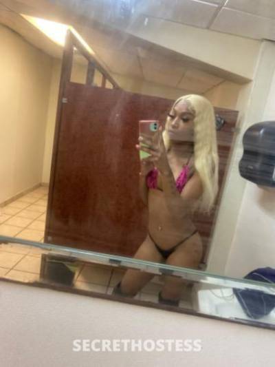 21Yrs Old Escort Dallas TX Image - 2