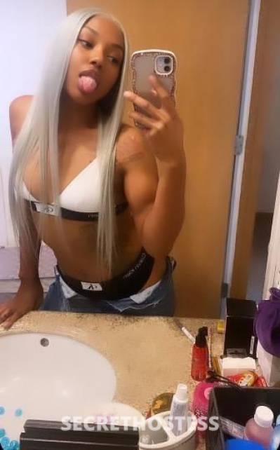 25Yrs Old Escort Chicago IL Image - 2