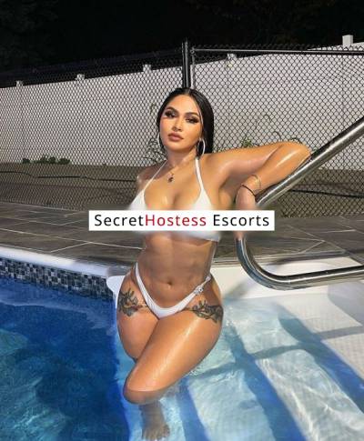 25 Year Old European Escort Dublin - Image 2