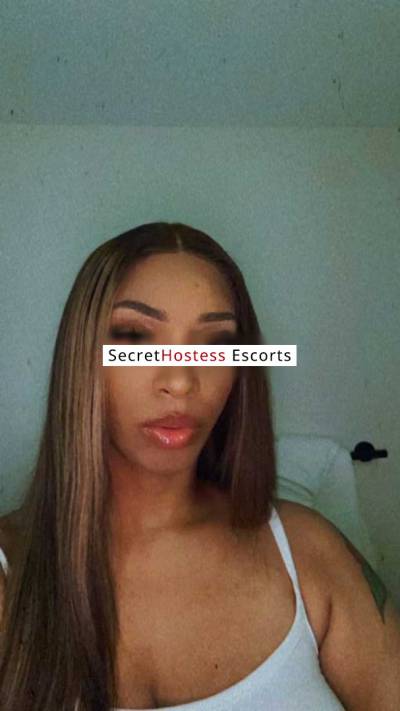 28Yrs Old Escort Washington DC Image - 3