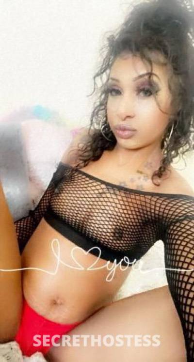 Charm 23Yrs Old Escort Denver CO Image - 0