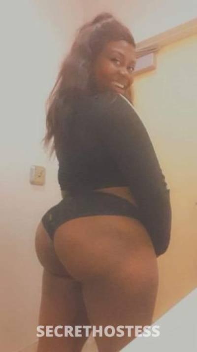 Mel 22Yrs Old Escort Fort Worth TX Image - 2