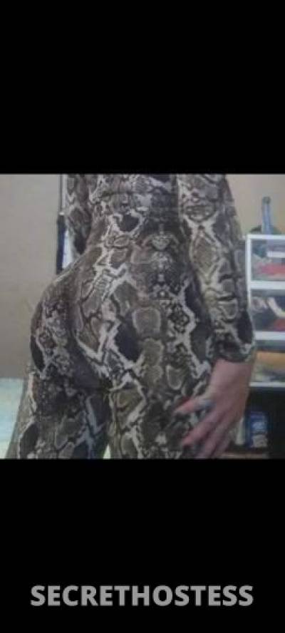 Sammi 38Yrs Old Escort Ocala FL Image - 10