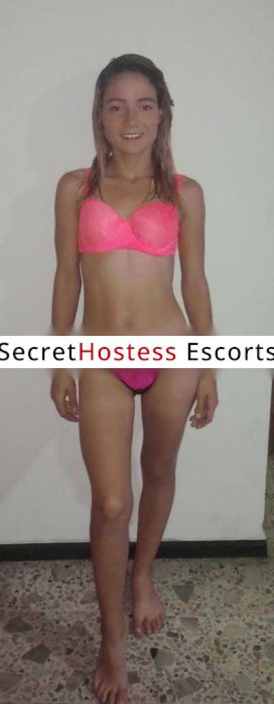 24Yrs Old Escort 48KG 158CM Tall Medellin Image - 1