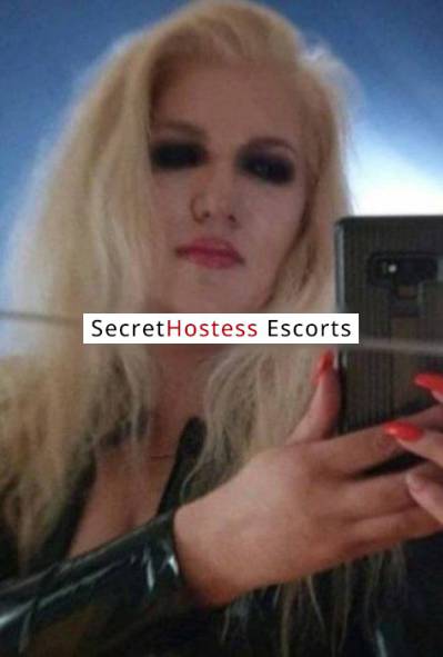 52Yrs Old Escort 89KG 181CM Tall Warsaw Image - 4