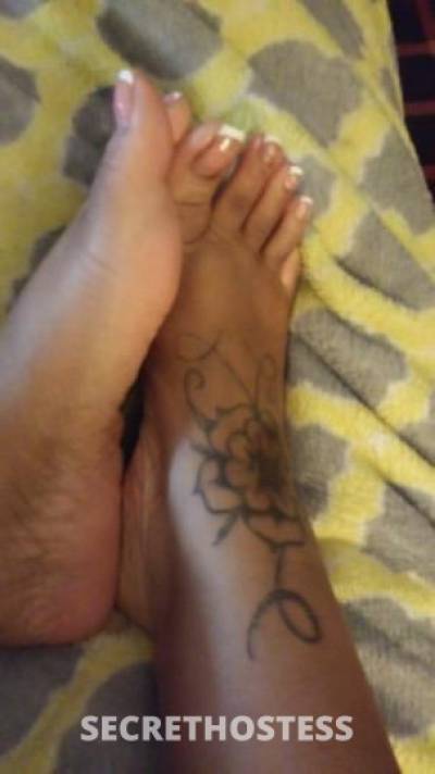 AmberCoxx_ 25Yrs Old Escort Pensacola FL Image - 4