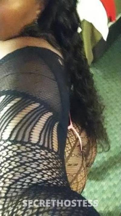 AmberCoxx_ 25Yrs Old Escort Pensacola FL Image - 8