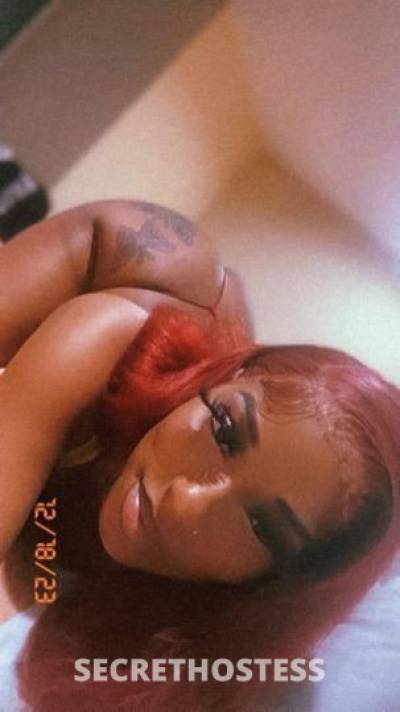 Dream 23Yrs Old Escort Los Angeles CA Image - 0